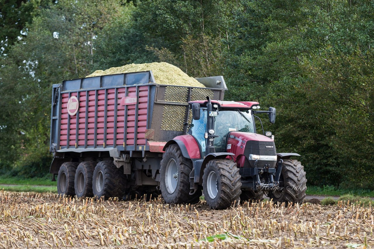 Bild 127 - Maisernte